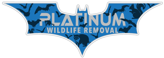 Oceola Animal Removal